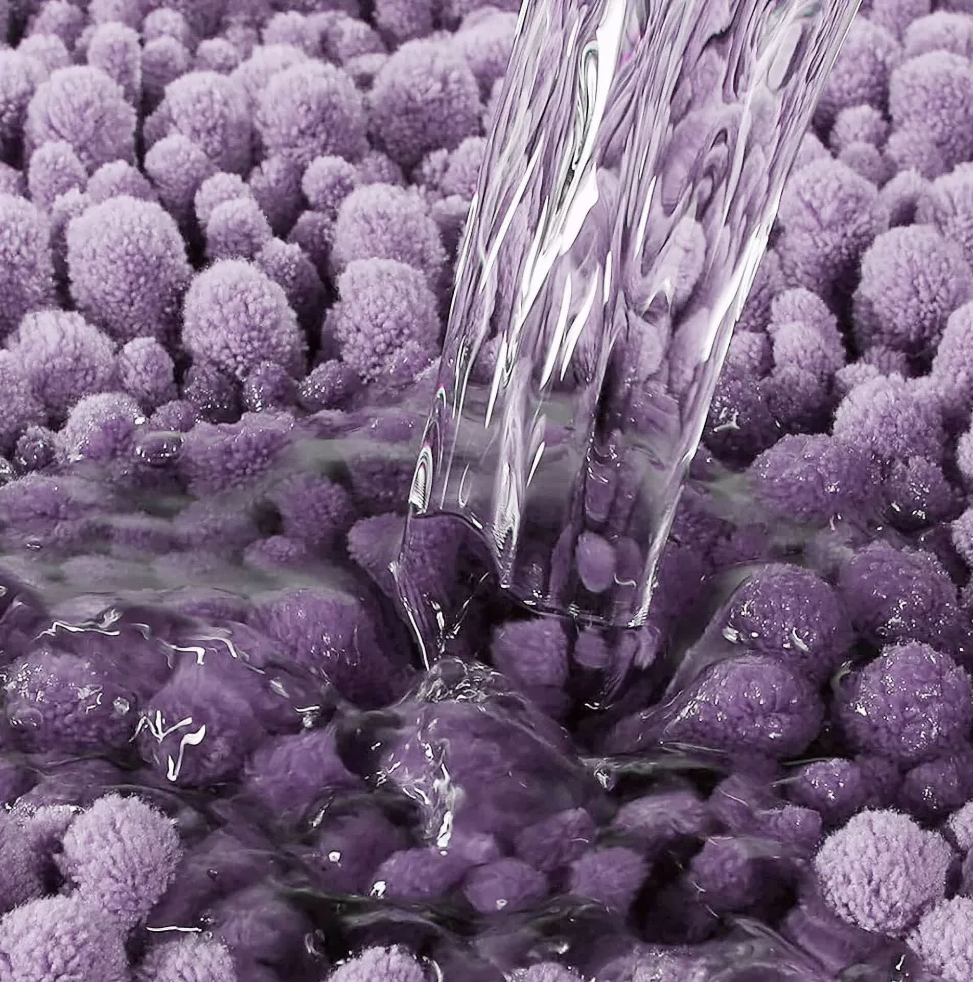 2 Piece Set Lavender Soft Cozy Plush Chenille Bath Mat Bathroom Rug