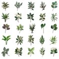 thumbnail image 5 of Pegatinas de vinilo con forma de hojas verdes, impermeables, estilo anime, 50 unidades/lote, 5 of 5