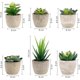 thumbnail image 2 of Pcs Indoor Artificial Plants, Fake Plants With Gray Pot Artificial Grass Decoration For Outdoor Wedding Office Table Garden, 2 of 4