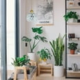 thumbnail image 4 of FSLiving 10W LED Swag Hanging Plant Grow Spotlight Full Spectrum Plug-in Cord BOHO White Hemp Rope Hollow-Carved Globe Pendants with Timer for Indoor Plant No Wiring Needed Portable Customizable, 4 of 7