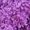 Purple, variant on Socks For Women Men Colorful Soft Bed Socks Winter Warm Slipper Fleece Sock Socks