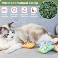 thumbnail image 5 of Jinsinto Jouet à l'Herbe à Chat, Jouets à Mâcher pour Tétons de Chat, 5 of 5