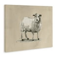 thumbnail image 4 of Stupell Industries Gazing Sheep on Beige Animals & Insects Painting Gallery Wrapped Canvas Art Print Wall Art, 20 x 16, 4 of 8