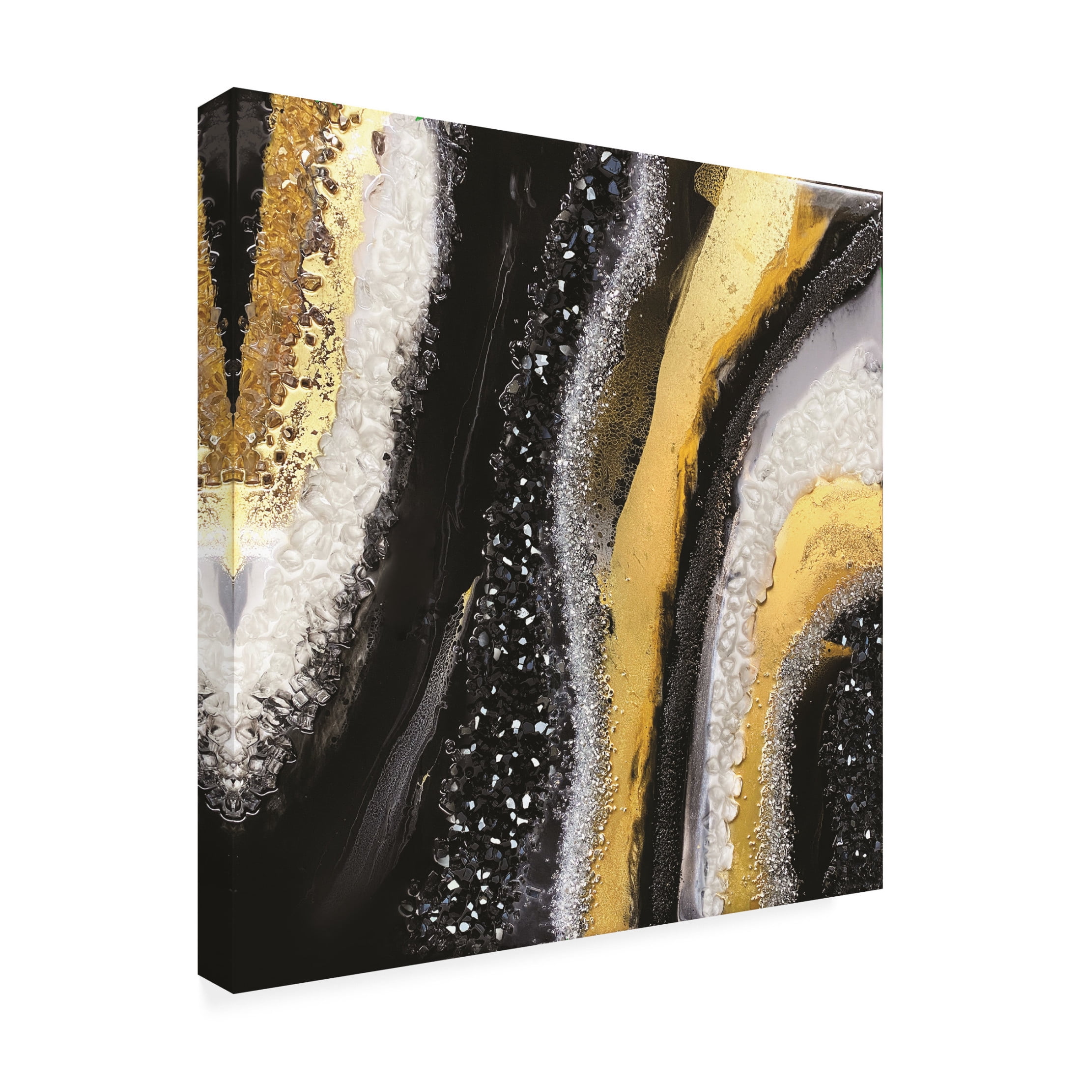Trademark Fine Art Alyson Storms Black Agate Canvas Wall Art