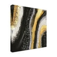 thumbnail image 4 of Trademark Fine Art Alyson Storms Black Agate Canvas Wall Art, 4 of 4