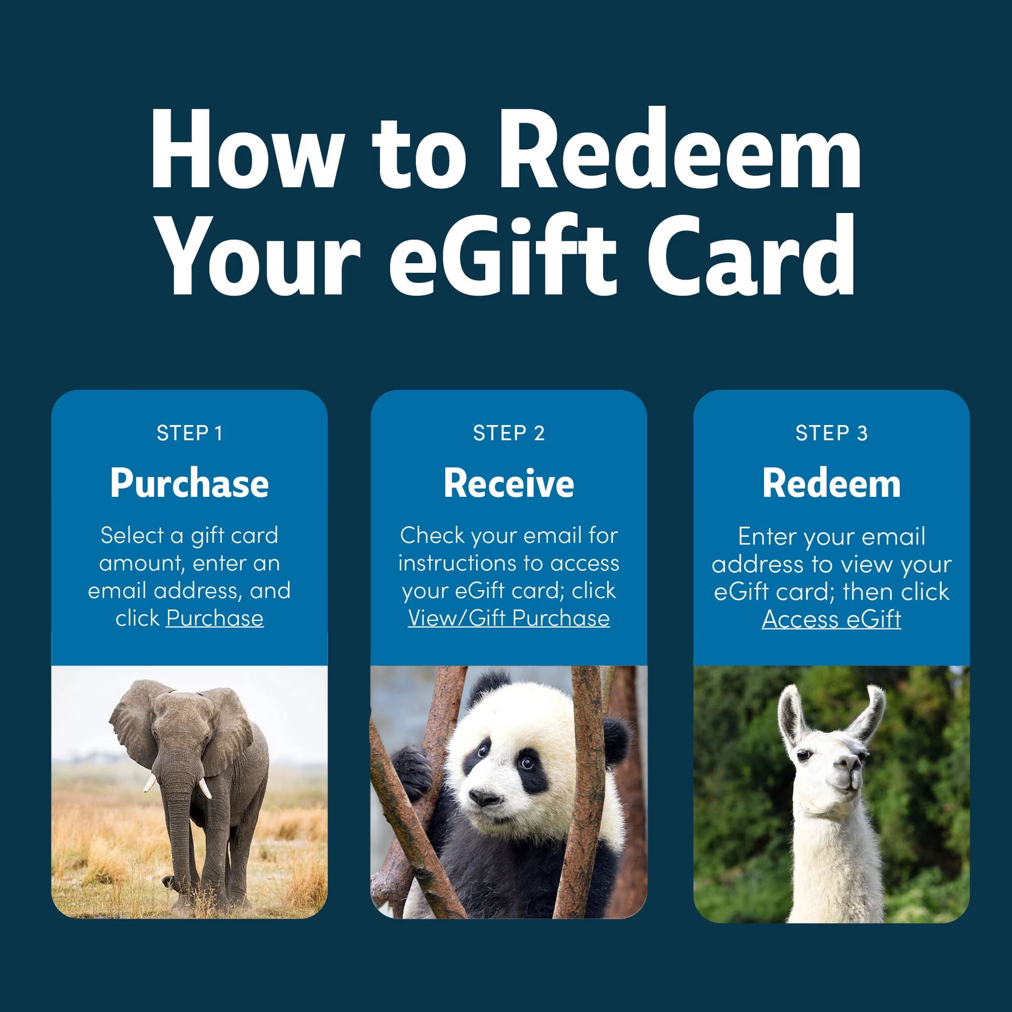 WORLD WILDLIFE FUND VGC ($25-$250) eGift Card [Email Delivery]