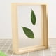 thumbnail image 4 of Marco de fotos de muestra de planta de madera Marcos de fotos de vidrio transparente de doble cara Los 21x297cm, 4 of 9