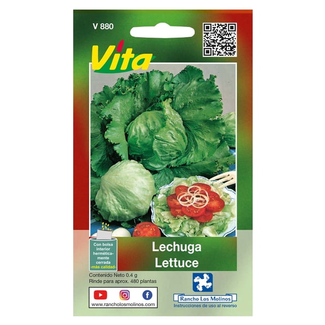 Semillas Lechuga bola Vita