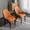 Orange & Brown, variant on POVISON Modern Beige Dining Chair (Set of 2), with PU Leather and Iron Legs