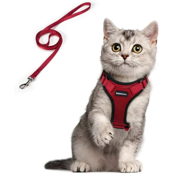 Cat Harness Small Dog Leash Adjustable Kitten Harness Red Xs Reflective Cat Harness Collar Breathable Vest For Rabbit, European Cat, Maine Coon, Persian, Clip On With Leash
