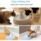 thumbnail image 3 of 16 Foam Prefilters Carbon Filter Compatible with PetSafe Drinkwell Fountain INOX 360 Avalon Pagoda Seascape Sedona, Water Fountain Filter, 3 of 5