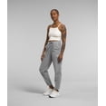 thumbnail image 2 of Pantalón THE NORTH FACE Alpine Polartec® 100 para Mujer - Gris, 2 of 5
