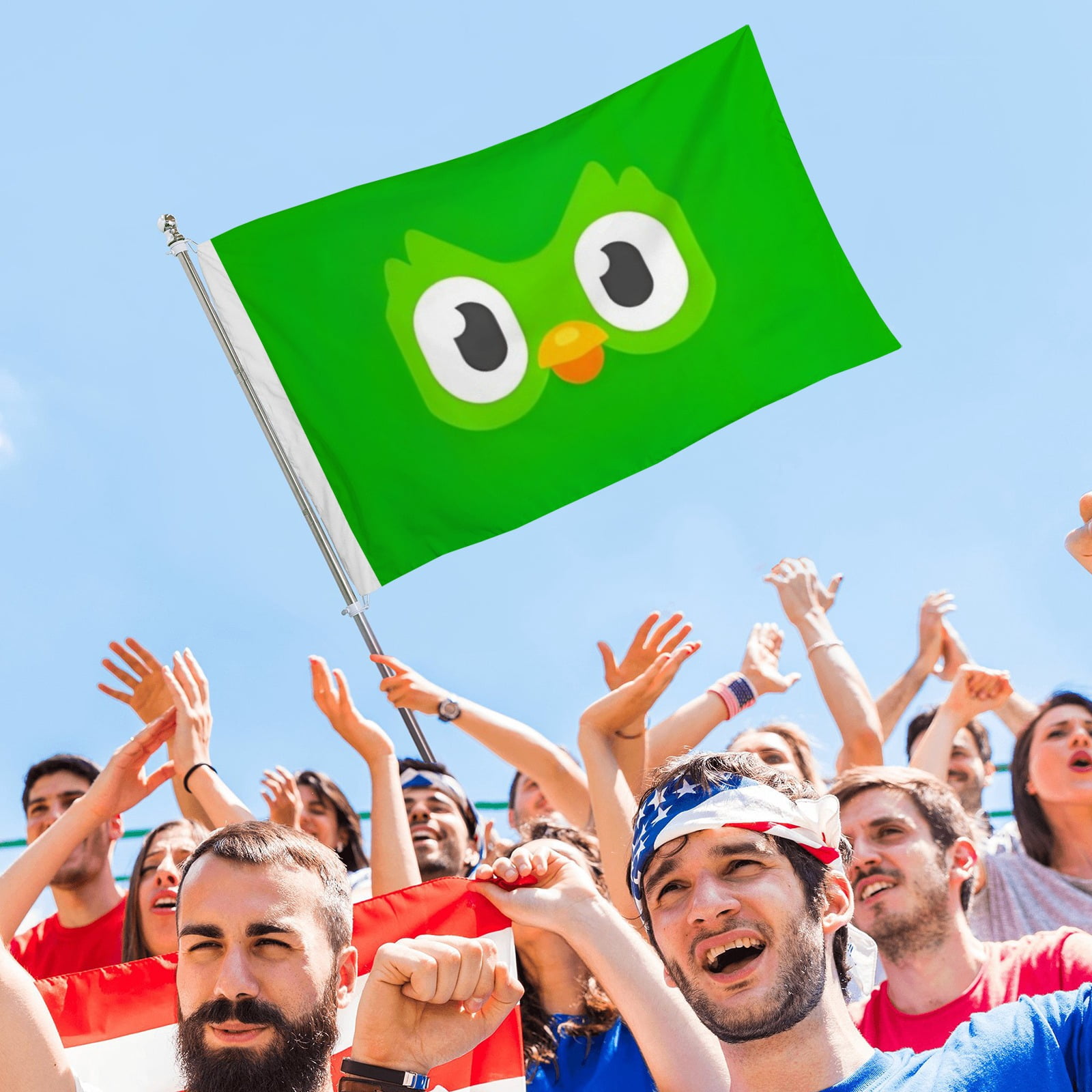 Flags for Duolingo Decorations for Home, Outside, Indoor Outdoor Flag, House Flag Party Gift Funny for Friends 3×5 FT