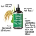 thumbnail image 2 of Spray para el crecimiento del cabello, maximizador del grosor del cabello, biotina, aceite de menta y agua de arroz, 2 of 6