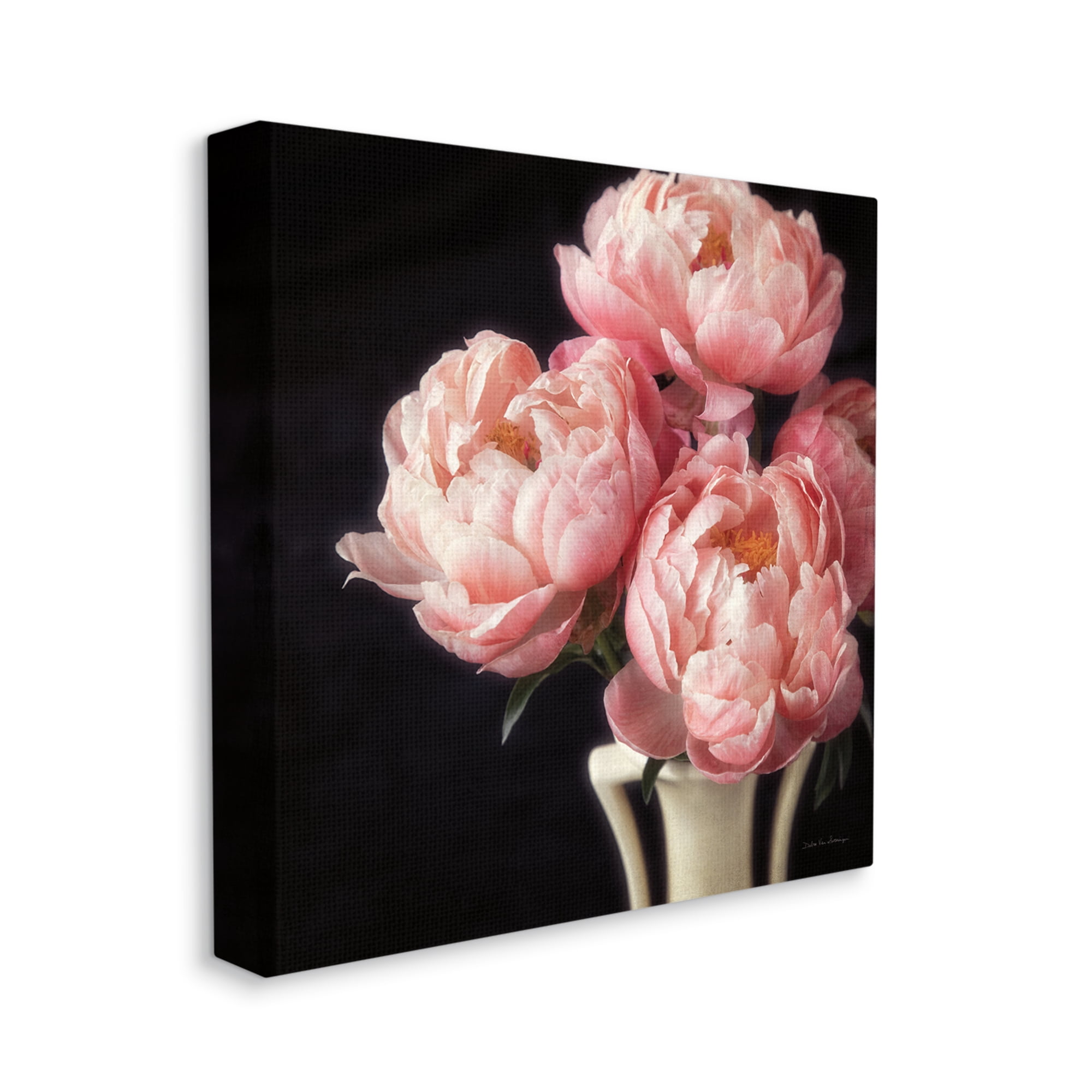 Stupell Industries Three Peonies Photography Botanical & Floral Photography Gallery Wrapped Canvas Art Print Wall Art, 24 x 24