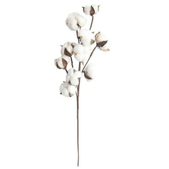 CNKOO -Cotton Stems Fake Cotton Flowers Dried Cotton Picks natural cotton stems decor cotton boll branches Artificial Cotton Floral Stems