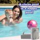 thumbnail image 4 of 5pcs Hand-held Pools Pumice Stone, Pool Cleaning Blocks With Handle, Swimming Pumice Pool Tile Stone For Clean Pool Tile, 4 of 5