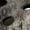 MOSSY OAK COUNTRY DNA, variant on Little Kids' Mossy Oak® Country DNA™ Muckster Lite EVA Clog