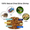 thumbnail image 3 of 2 Pack 0.5 oz Sun Dried Baby Shrimp for All Tropical Fish, Betta, Koi, Guppy, Cichlid, Goldfish, Turtles, 3 of 5