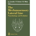 thumbnail image 2 of La Ligne Latérale Mécanosensorielle, Neurobiologie et Évolution, 2 of 2