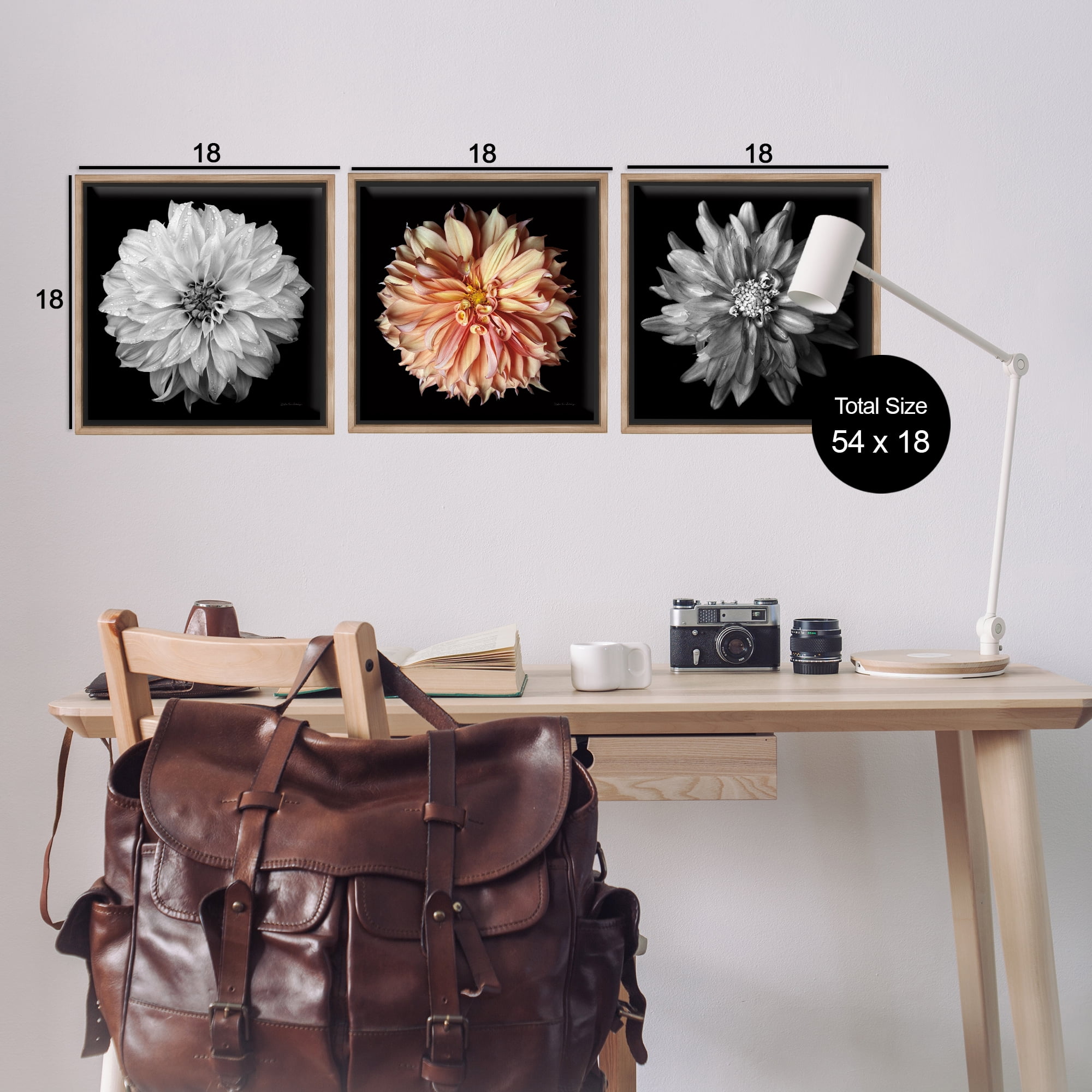 Stupell Industries Detailed Dahlia Photography Plants & Flowers Photography Brown Floater Framed Canvas Art Print Wall Art, 18 x 18, Set of 3