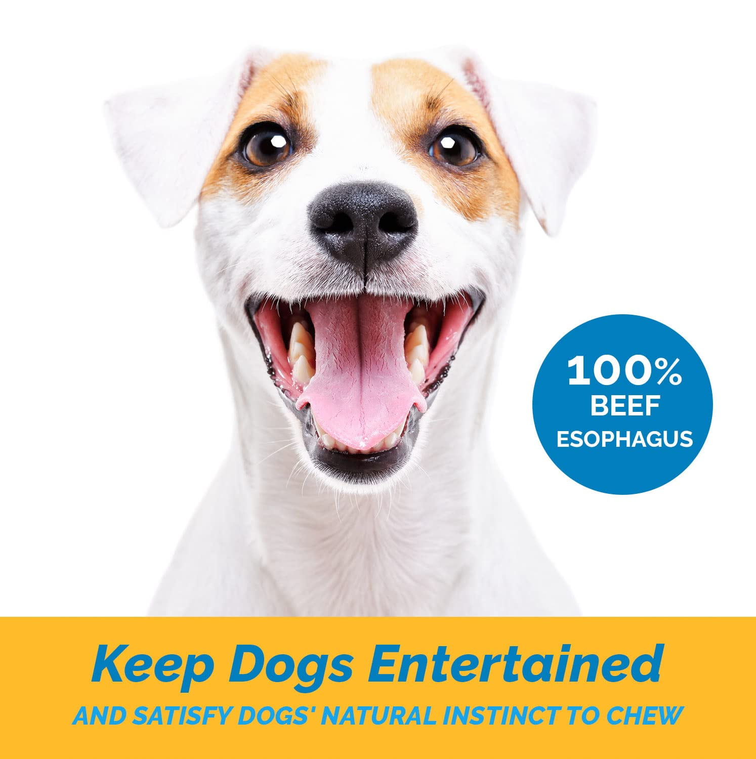 Free-Form (1 Pound) Beef Dog Treats Esophagus for Dogs 100% Natural Healthy Chews for Dogs - All Natural Jerky Meat Free of Preservatives, Hormones, Additives