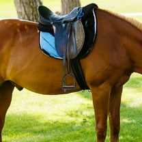 LEXSOMEO 1 Pair Horse Stirrups for Saddle Western with Tack Overshoe Design Overshoe Safety Horse Stirrup Anti-Slip Foot Mat Black