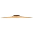 thumbnail image 2 of Sabian AA Raw Bell Crash Cymbal, 2 of 2
