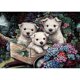 thumbnail image 1 of Diamante pintura taladro perro 5D Rhinestone ronda completa para la decoración de la habitación (G1020) Hugtrwg Para estrenar, 1 of 9