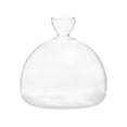 thumbnail image 3 of Florero con brotes de semillas de aguacate, de de semillas de vidrio, florero de vidrio transparente para accesorios de escritorio, 3 of 8