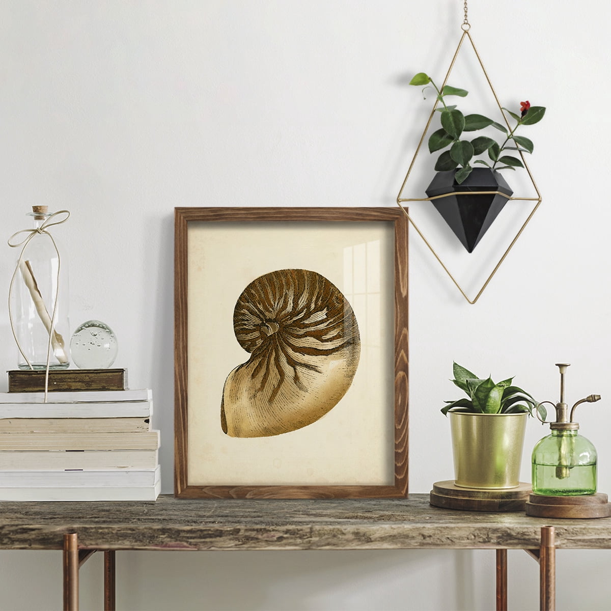 Sealife Collection V - Framed Print w/glass - Walnut