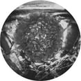thumbnail image 1 of Ahgly Company Machine Washable Indoor Round Transitional Charcoal Black Area Rugs, 5' Round, 1 of 7
