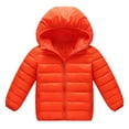 thumbnail image 4 of Puffer Jacket Boys Baby Girls Coats for 6 Months-5 Years Toddlers Boy Winter Jacket Warm Bear Hooded Outdoor Coats Size 5, 4 of 9