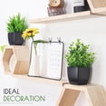 thumbnail image 2 of 2 Pack Fake Plants Small Artificial Potted Plants Faux Plants Black Bathroom Accessories for Home Office Desk Bathroom Decor Indoor, 2 of 7