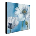 thumbnail image 3 of Trademark Fine Art "Blue Dance III" Canvas Art by Lisa Audit, 3 of 4