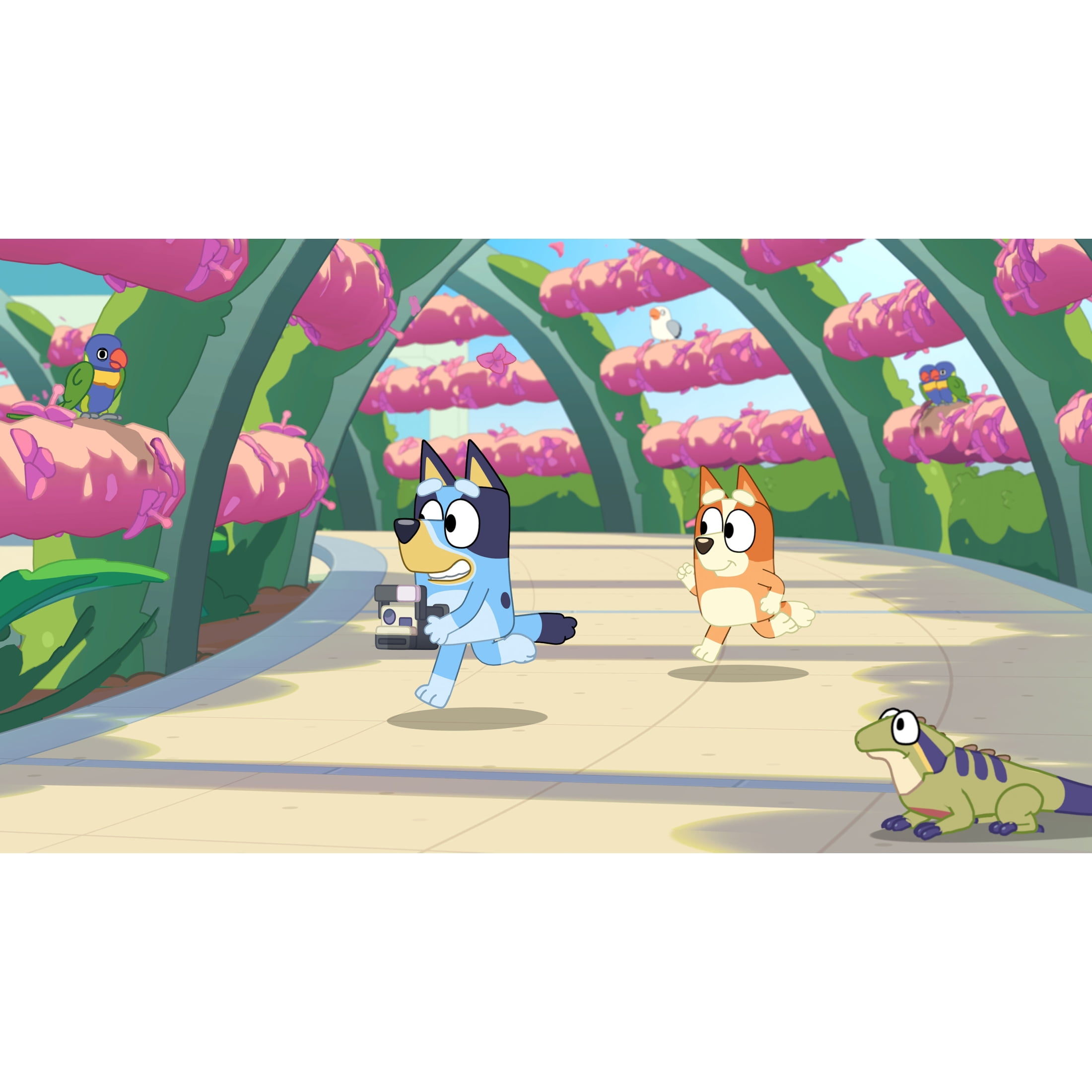 Bluey Happy Snaps - Nintendo Switch 2 Game