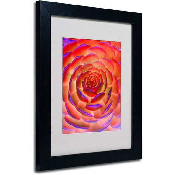 Trademark Fine Art "Plant Art" Matted Framed Art by Patty Tuggle, Black Frame