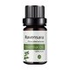 thumbnail image 2 of Fiudx Aceite Corporal, Aceite de Masaje Hidratante y Nutritivo, Aromaterapia Calmante para El Cuidado de La Piel, Fórmula Rejuvenecedora para Una Piel Suave, Uso Antes y Después de La Ducha, Rutina d, 2 of 6