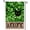Patrick, variant on Sm:)e Fall Garden Flag 12x18 Inch Double Sided - Seasonal Decorative Flag Rustic Autumn Outdoor Yard Decor, Pumpkins and Black Cat