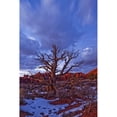 thumbnail image 2 of Timed Exposure Of Sunset Clouds Over Tree And Cove Of Caves In Arches National Park Utah. Poster Print, 2 of 4