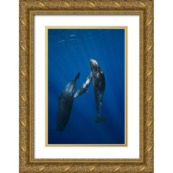 Gabriel, Barathieu 23x32 Gold Ornate Wood Framed with Double Matting Museum Art Print Titled - Sperm whale family
