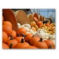 thumbnail image 5 of Small World Greetings Autumn Pumpkins and Gourds Cards 12 Count - Blank Inside with Envelopes - A2 Size (5.5”x4.25”) - Thanksgiving, Fall Events, Halloween, and More, 5 of 10