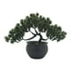 thumbnail image 4 of Bonsái Artificial BLESIY planta decorativa en maceta para estantería Verde oscuro, 4 of 8