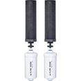 thumbnail image 2 of Berkey Black Replacement Fluoride Self-Sterilizing Cleanable Filters Combo Pack, 2 of 10