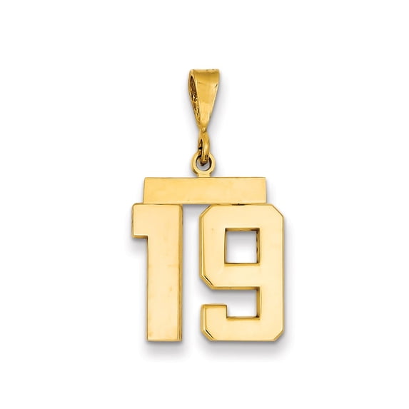 14K Yellow Gold Charm Pendant Themed 19 Medium Polished Number