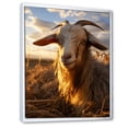 thumbnail image 2 of Designart "Vibrant Portrait of a Goat II" Animals Floater Framed Wall Decor, 2 of 7