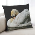 thumbnail image 1 of Ahgly Company Animals Swan Coussin Intérieur 18 Pouces par 18 Pouces, 1 of 6