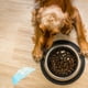thumbnail image 5 of Juguete de goma para perros, ideal para limpiar los dientes y masticar Divertidos juguetes para perros, pelotas, juguete interactivo para buscar y buscar para cachorros y perros pequeños, 5 of 7