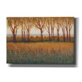 thumbnail image 1 of Epic Graffiti 'Glow in the Afternoon I' by Tim O'Toole, Canvas Wall Art, 26"x18", 1 of 2