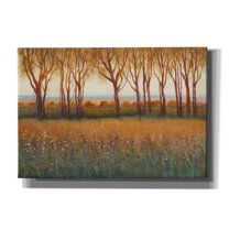 Epic Graffiti 'Glow in the Afternoon I' by Tim O'Toole, Canvas Wall Art, 26"x18"